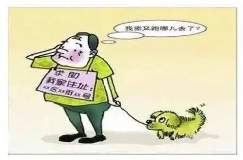 绿波双数找特码,手拿葫芦也是八打一个生肖的警惕虚假宣传-全面释义、专家解答解释落实